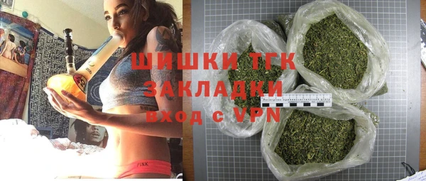прущий лед Алзамай