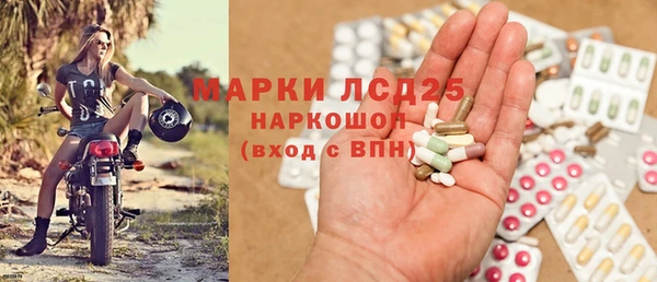 прущий лед Алзамай